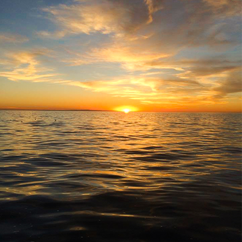 20937671_1969419293342648_56016640_n